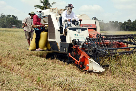 Oằn mình chống hạn mặn - Bài cuối: Dốc toàn lực chống hạn mặn