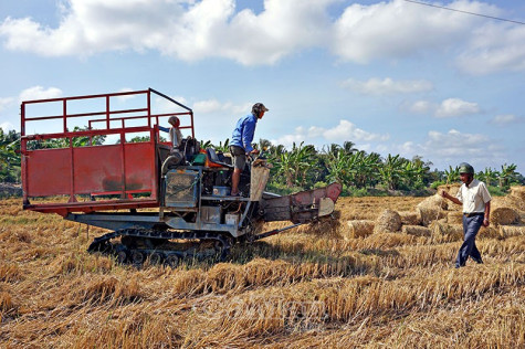 Thiếu nước mùa khô