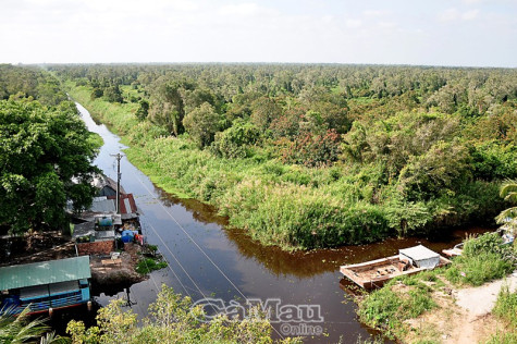 Nóng bỏng rừng tràm