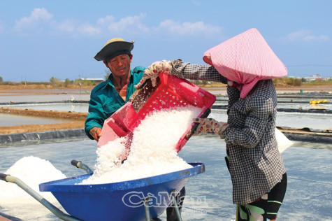 “Lên đời” hạt muối Cà Mau