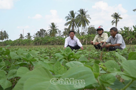 Sản xuất thích ứng  với khô hạn