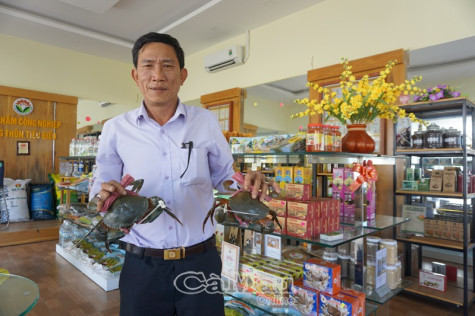 Phòng, chống dịch Covid-19: Sẽ cưỡng chế khi cần thiết
