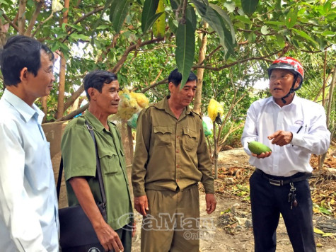 Nhịp cầu ý Đảng - lòng dân