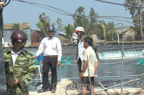 Tăng cường quản lý nuôi tôm siêu thâm canh