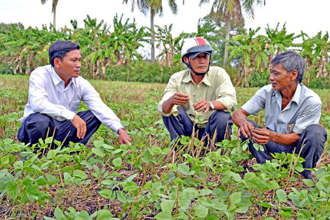 Khắc nghiệt vùng ngọt- Bài 2: Thích ứng với hạn mặn