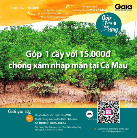 Chủ tịch UBND tỉnh chỉ đạo xác minh vụ huy động tiền trồng rừng