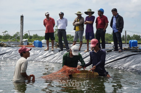 Đẩy mạnh sản xuất ứng phó với dịch Covid-19