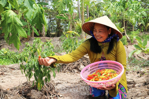 Khởi sắc đời sống phụ nữ dân tộc