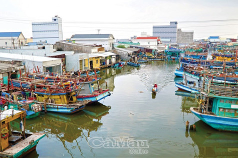 Bấp bênh nghề biển