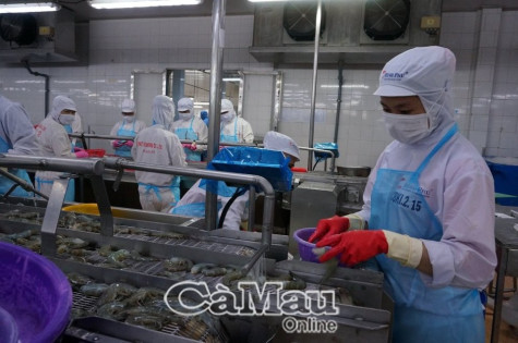 Rà soát, đánh giá tác động của dịch Covid-19