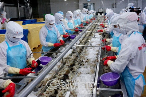 Giải ngân vốn đầu tư công gần 800 tỷ đồng