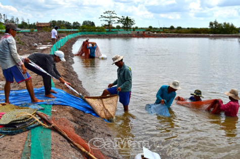 Doanh nghiệp  vượt “bão” Covid-19