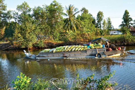 Vượt khó mùa hạn