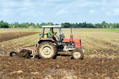 Tuân thủ lịch thời vụ để sản xuất hiệu quả