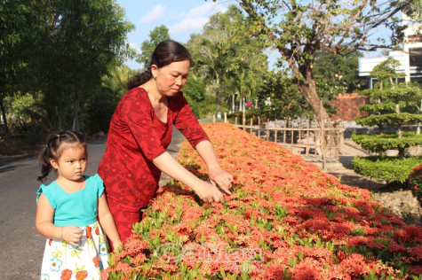 Vườn xanh, nhà đẹp