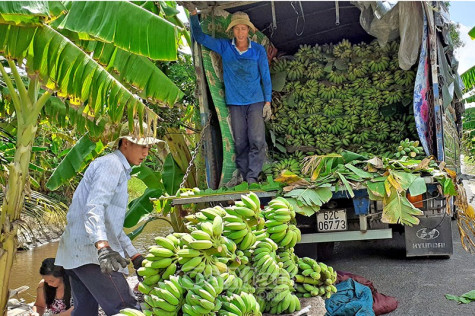 Xây dựng nông thôn mới từ sức dân