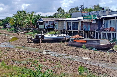 Nông dân thấp thỏm lo trễ vụ