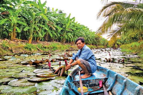 Màu xanh giữa mùa khô hạn