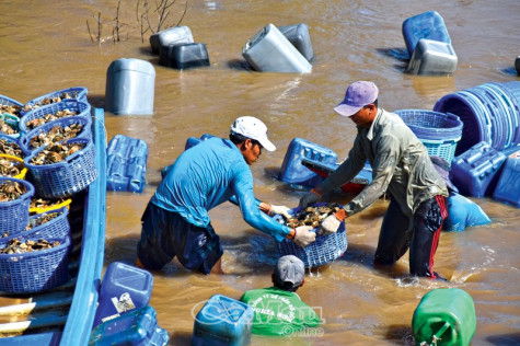 Phong phú “quà” biển