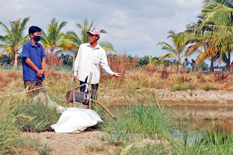 Nông dân với nỗi lo một vai hai gánh