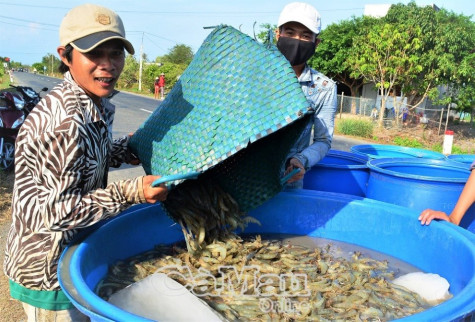 Tập trung phục hồi kinh tế, đẩy nhanh  tái cơ cấu các ngành hàng chủ lực