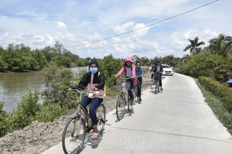 Cần đánh giá sát các tiêu chí  trong xây dựng nông thôn mới