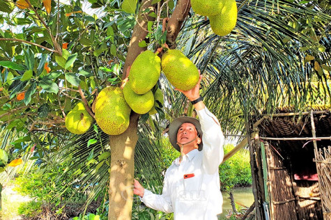 Tăng gia sản xuất, làm đẹp đường quê