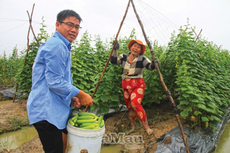 Phát triển vùng sản xuất sạch