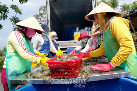 Lắng nghe, hỗ trợ doanh nghiệp