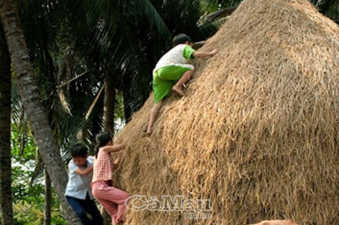 Cây rơm nhà má