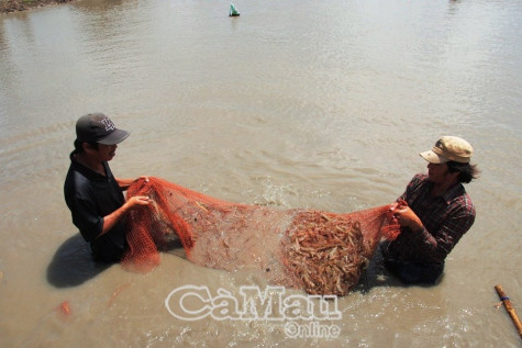 Việt Nam duy trì mức tăng trưởng kinh tế khá trong khu vực