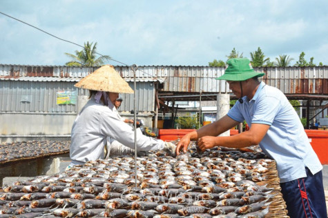 Phát triển thương hiệu góc nhìn từ vải thiều Bắc Giang