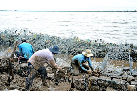 Những người vá đê - Bài cuối: Gác cái riêng, vì cái chung