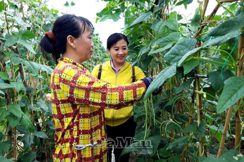 Thiết thực phong trào thi đua yêu nước