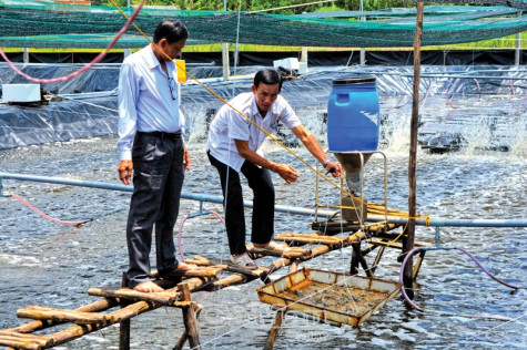 Gỡ khó  cho kinh tế tập thể