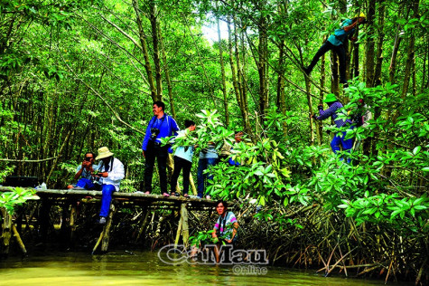 Đất Mũi hữu tình