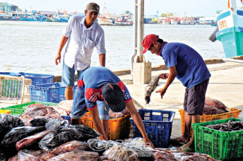 Quyết liệt trong quản lý khai thác trên biển