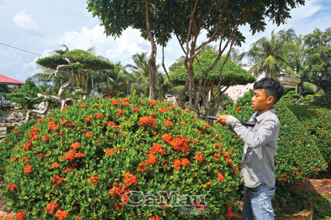 Xã cửa ngõ nâng chất tiêu chí NTM