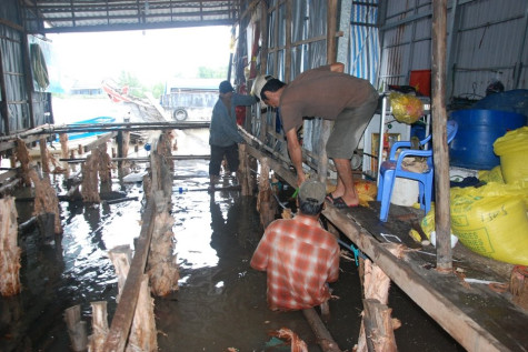 Thiệt hại do thiên tai hơn 24,2 tỷ đồng