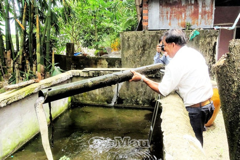 Phát triển kinh tế trong đại dịch: Nhìn thẳng để chọn hướng đi đúng