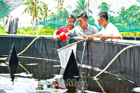 Thanh niên nông thôn khát khao khởi nghiệp