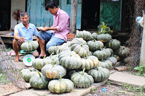 Rau màu xanh mướt bờ vuông