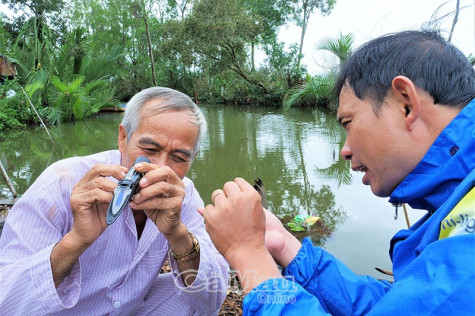 Niềm vui đa canh
