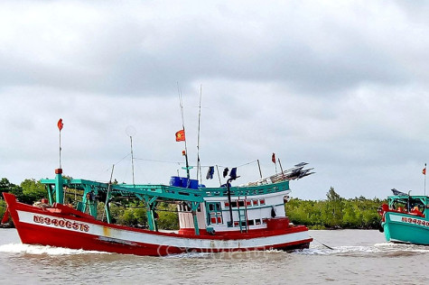 Sớm khắc phục bồi lắng tại các cửa biển
