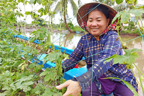 Xóm rẫy, vuông