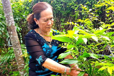 Kỳ vọng vào nhiệm kỳ mới