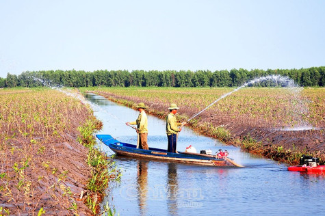 Đất rừng nở hoa