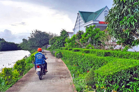 Nơi phù sa lấn biển​