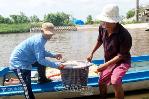 Chuyển đổi nghề khai thác: Vì sự phát triển bền vững