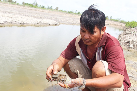Nông dân Biển Bạch lao đao vì nước nhiễm phèn